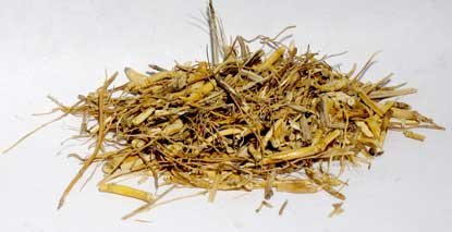 (image for) 1 Lb Witches Grass cut - Click Image to Close