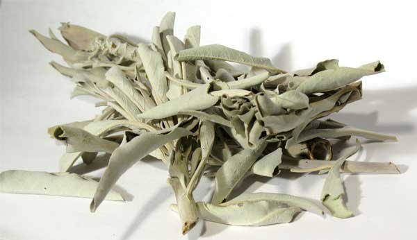 (image for) White Sage 1oz - Click Image to Close